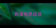 有谋有勇成语