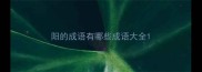 阳的成语有哪些成语大全