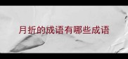 月折的成语有哪些成语