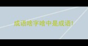 成语啥字啥中是成语
