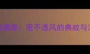 成语溯源密不透风的典故与演变