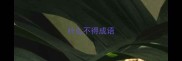 什么不得成语