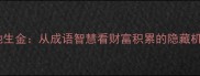 隙地生金从成语智慧看财富积累的隐藏机遇