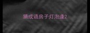 猜成语房子灯泡逢