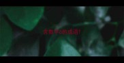 含数字6的成语