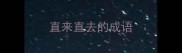 直来直去的成语