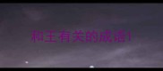 和王有关的成语