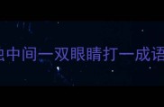 独中间一双眼睛打一成语