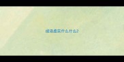 成语虚实什么什么