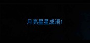 月亮星星成语