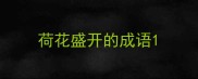 荷花盛开的成语
