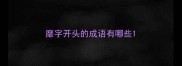 靡字开头的成语有哪些