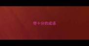 带十分的成语