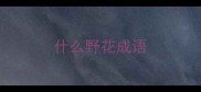 什么野花成语