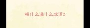 粗什么滥什么成语