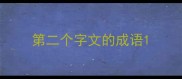第二个字文的成语