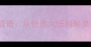 10个最常用悟字成语从恍然大悟到触类旁通的智慧密码