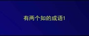 有两个如的成语