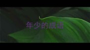 年少的成语