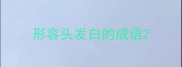 形容头发白的成语