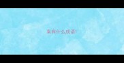 案有什么成语