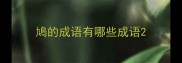 鳩的成语有哪些成语