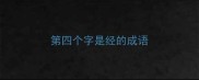 第四个字是经的成语