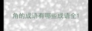 角的成语有哪些成语全
