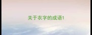 关于衣字的成语