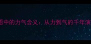 成语中的力气含义从力到气的千年演变