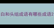 白和头组成语有哪些成语