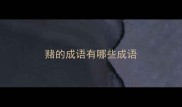 赌的成语有哪些成语