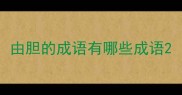 由胆的成语有哪些成语