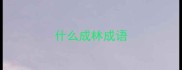 什么成林成语