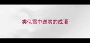 类似雪中送炭的成语