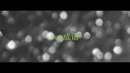 hua成语