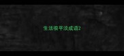 生活很平淡成语