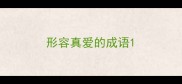 形容真爱的成语