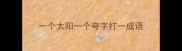 一个太阳一个夸字打一成语