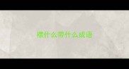 襟什么带什么成语