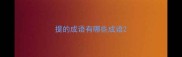提的成语有哪些成语