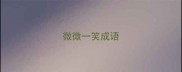 微微一笑成语