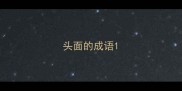 头面的成语