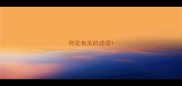 荷花有关的成语
