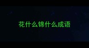 花什么锦什么成语