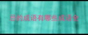 忌的成语有哪些成语全