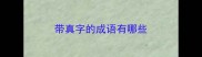 带真字的成语有哪些