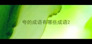 夸的成语有哪些成语