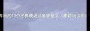 青松的10个经典成语及象征意义附诗词引用