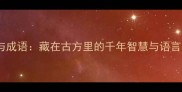中药与成语藏在古方里的千年智慧与语言密码